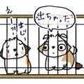 R}}K
