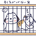 R}}K
