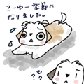 ��R�}�}���K