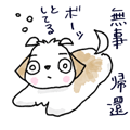 ��R�}�}���K